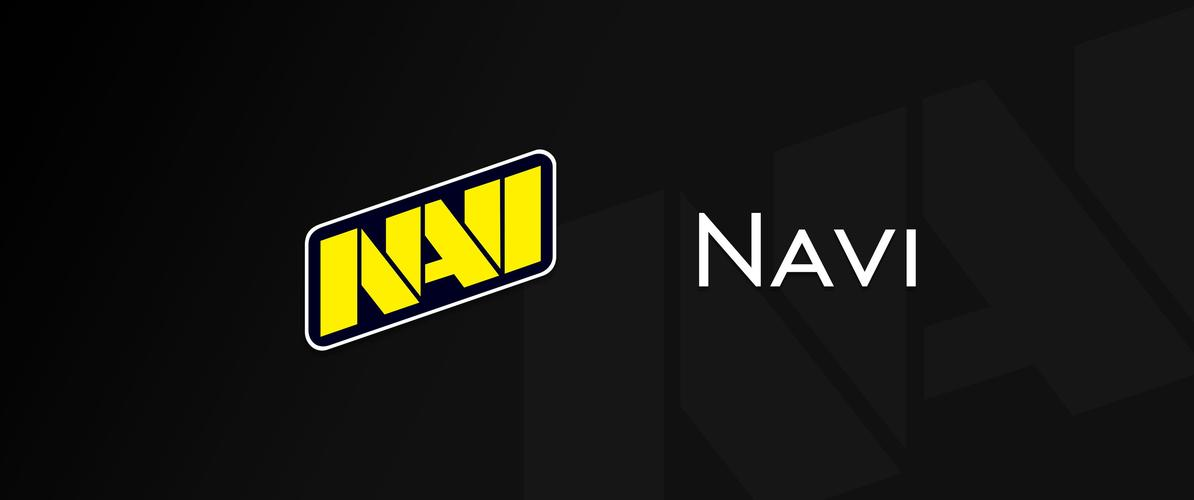 腾龙娱乐战队介绍-Natus Vincere(NaVi)